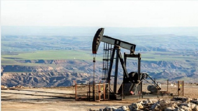 The oil