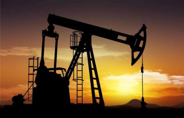 Oil records the biggest daily loss in 11 years