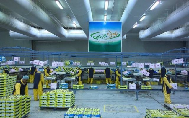 هيئة السوق المالية توافق على تخفيض رأسمال "تبوك الزراعية"
