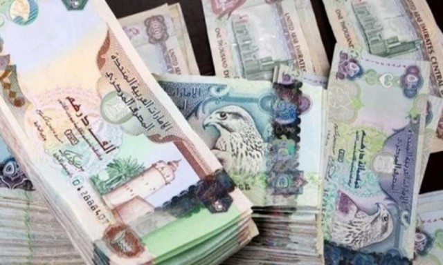 UAE companies have accumulated lo