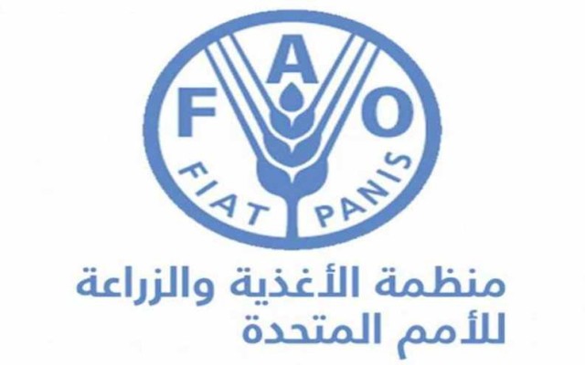 Global food prices rise