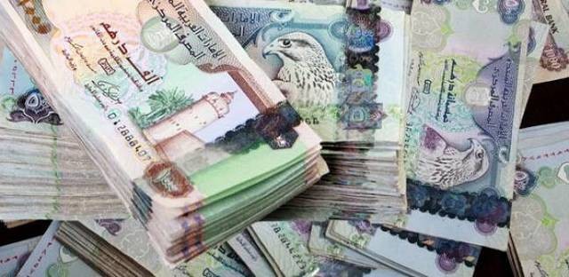 نمو الادخار القومي للإمارات 6.6% العام الماضي