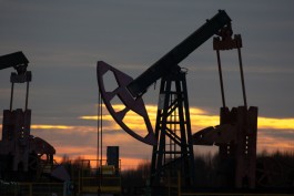 Oil prices between the strength of the dollar and bets on increasing seasonal demand