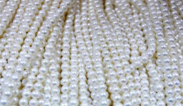 8.8 billion dirhams the volume of pearl trade in Abu Dhabi within 5 months