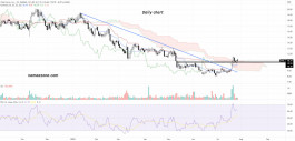 Vital Farms, Inc (VITL) Stock - July 28