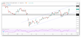 Technical look at the SACO stock