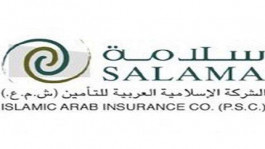 عزل نائب رئيس مجلس إدارة «سلامة للتأمين»