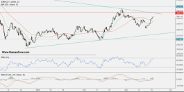 Technical report for the Emirates market March 20