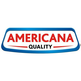 Americana discusses the company's results for the first quarter of 2023