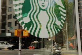 Starbucks Collapse: 20% Drop Due to Poor Strategy