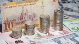 Government debt instruments