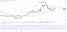 Vertex Energy Inc (VTNR) Analysis - Jul 28