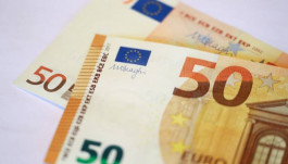 euro rises highest level