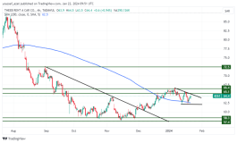 Theeb Shares - January 22, 2024