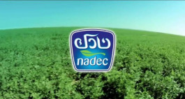 "نادك" تتحول للربحية في 2020 