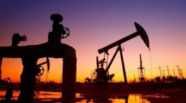 Low oil prices