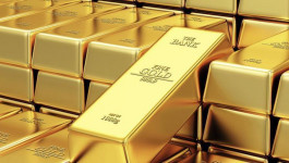 Gold climbs highest level