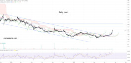 PaySign Inc (PAYS) Stock - August 16th