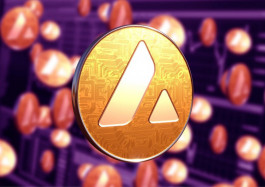 The rise of the cryptocurrency “Avalanche” and its superiority over the “Shiba Inu”