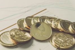 عودة الحيتان وتذبذب البيتكوين.. والعملات البديلة تقود ثورة الارتفاعات!