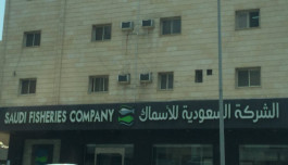 خسائر السعودية للأسماك المتراكمة تتراجع إلى 15.15%