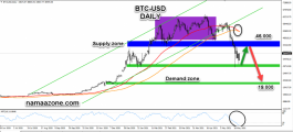 Technical Analysis of Petition May 24
