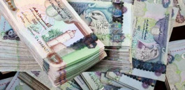 نمو الادخار القومي للإمارات 6.6% العام الماضي