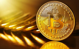 Bitquin records highest level in a year and a half
