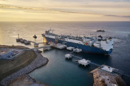 "Triastar" determines the price of its shares in the Dubai market