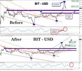 BITUSD