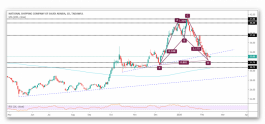 Bahri shares and form Harmonic model