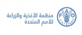 ارتفاع أسعار الأغذية عالميًا في مارس 