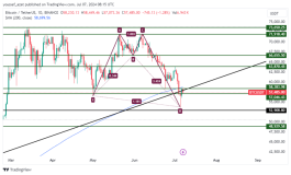 BTC - July 7, 2024