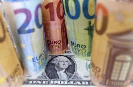 Euro rebounds on rate gap hopes