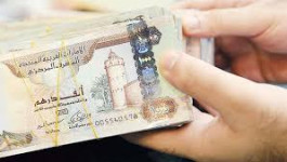 الإماراتيون يتزاحمون للاستفادة من برنامج القروض