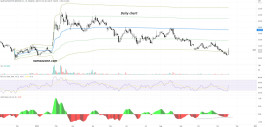 Shares of the Saudi Automotive Services Company (4050) on November 17