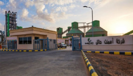 "Hail Cement" profits decline 60.4% in 2021