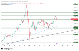 GOLD - February 24, 2026