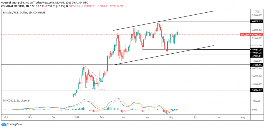 Technical Analysis of the Petition for May 9, 2021